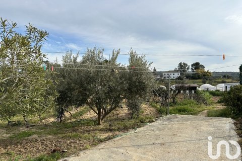 Terreno in vendita a Cartaya, Huelva, Spagna 3800 mq. N° 154093 - foto 10