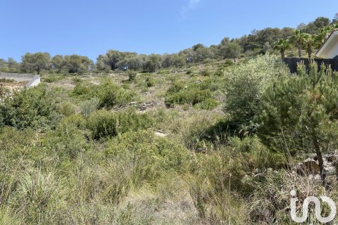 Działka w Sitges, Barcelona, Hiszpania 2450 mkw. nr 154094 – zdjęcie 5