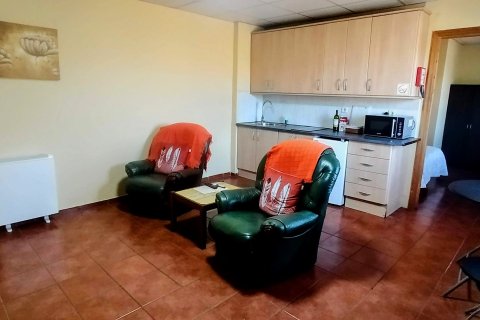 Talo myytävänä Tabernas, Almeria, Espanja, 11 makuuhuonetta, 499 m2 No. 154095 - kuva 28