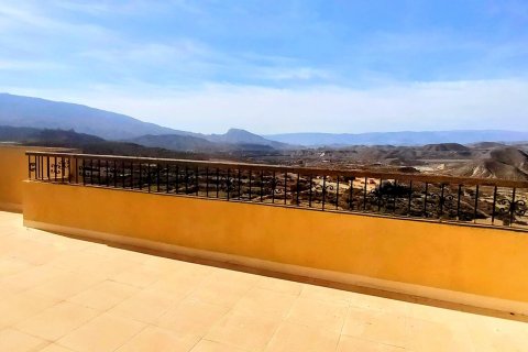 Talo myytävänä Tabernas, Almeria, Espanja, 11 makuuhuonetta, 499 m2 No. 154095 - kuva 11