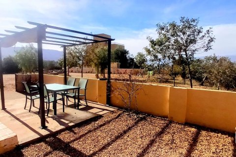 Talo myytävänä Tabernas, Almeria, Espanja, 11 makuuhuonetta, 499 m2 No. 154095 - kuva 23