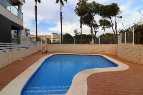 Apartment for sale La Mata, Alicante, Spain 1 bedroom, 59 sq.m. No. 114923 - photo 20
