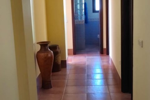 Talo myytävänä Ecija, Seville, Espanja, 4 makuuhuonetta, 432 m2 No. 152679 - kuva 22