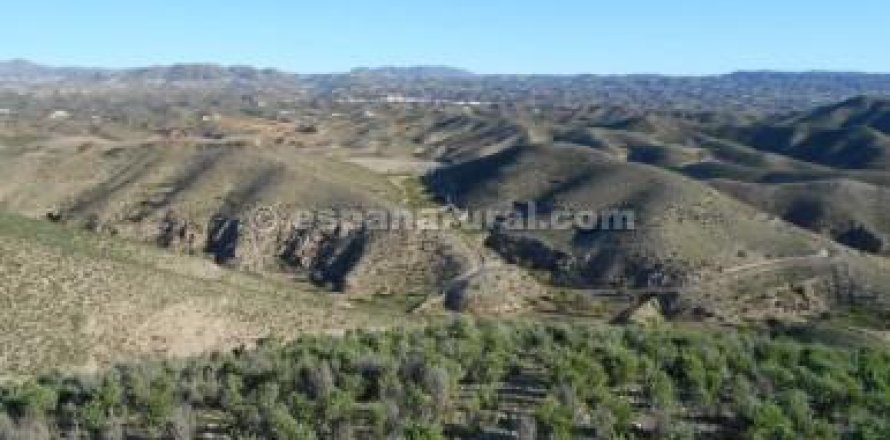 Land plot in Albox, Almeria, Spain No. 184161