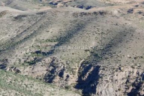 Land plot for sale in Albox, Almeria, Spain No. 184161 - photo 3