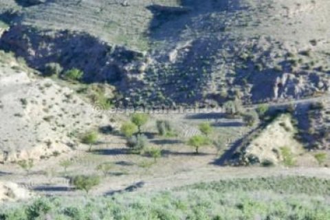 Land plot for sale in Albox, Almeria, Spain No. 184161 - photo 4