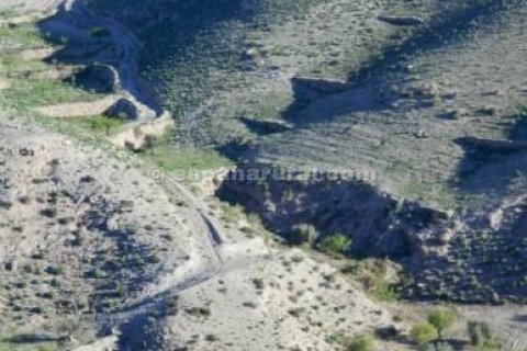Land plot for sale in Albox, Almeria, Spain No. 184161 - photo 2