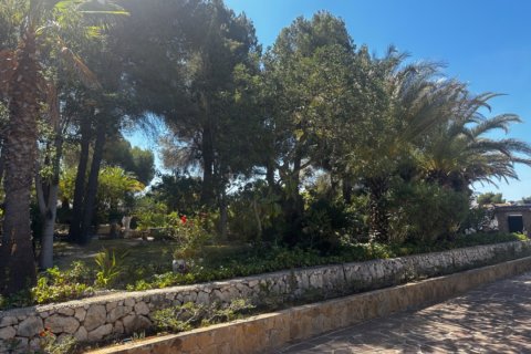 Villa zum Verkauf Javea, Alicante, Spanien 7 Schlafzimmer, 480 m2 Nr. 135647 - Foto 6