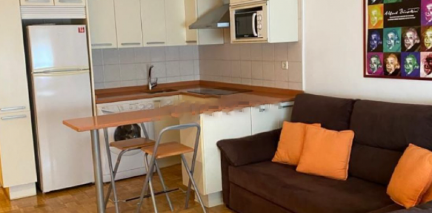 Apartment Madrid, Spain 1 bedroom, 47 sq.m. No. 58700