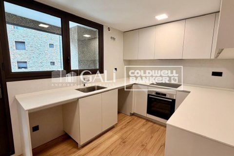 Huoneisto vuokrattavana Principado De Andorra (Ninguna Poblacion Tiene C.P.), Lleida, Espanja, 4 makuuhuonetta, 134 m2 No. 178429 - kuva 6