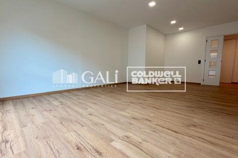 Huoneisto vuokrattavana Principado De Andorra (Ninguna Poblacion Tiene C.P.), Lleida, Espanja, 4 makuuhuonetta, 134 m2 No. 178429 - kuva 3