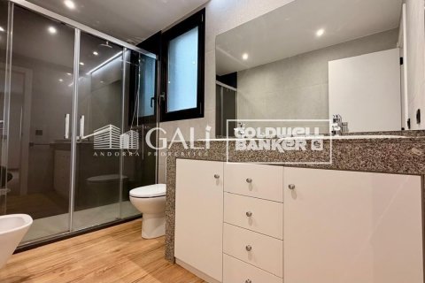 Huoneisto vuokrattavana Principado De Andorra (Ninguna Poblacion Tiene C.P.), Lleida, Espanja, 4 makuuhuonetta, 134 m2 No. 178429 - kuva 15