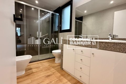 Huoneisto vuokrattavana Principado De Andorra (Ninguna Poblacion Tiene C.P.), Lleida, Espanja, 4 makuuhuonetta, 134 m2 No. 178429 - kuva 16