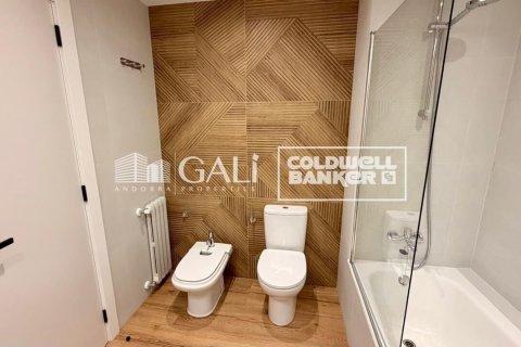 Huoneisto vuokrattavana Principado De Andorra (Ninguna Poblacion Tiene C.P.), Lleida, Espanja, 4 makuuhuonetta, 134 m2 No. 178429 - kuva 19
