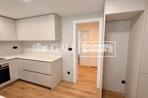 Huoneisto vuokrattavana Principado De Andorra (Ninguna Poblacion Tiene C.P.), Lleida, Espanja, 4 makuuhuonetta, 134 m2 No. 178429 - kuva 7
