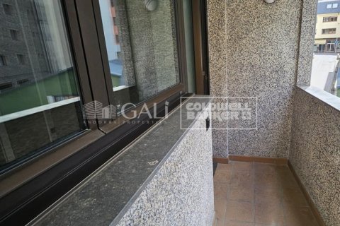 Huoneisto vuokrattavana Principado De Andorra (Ninguna Poblacion Tiene C.P.), Lleida, Espanja, 4 makuuhuonetta, 134 m2 No. 178429 - kuva 21