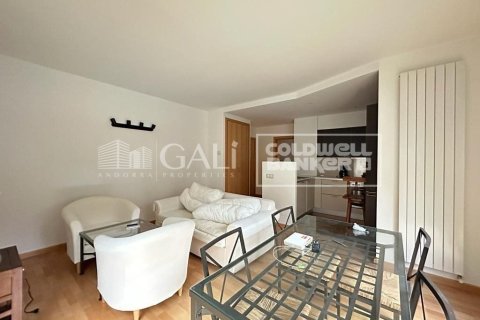 Lägenhet för uthyrning i Principado De Andorra (Ninguna Poblacion Tiene C.P.), Lleida, Spanien 1 sovrum, 56 kvm. Nr. 178427 - foto 2
