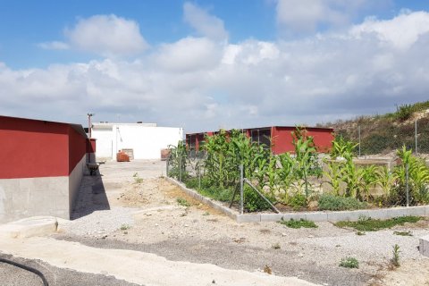 Finca for sale Los Montesinos, Alicante, Spain 2 bedrooms, 253 sq.m. No. 115285 - photo 17