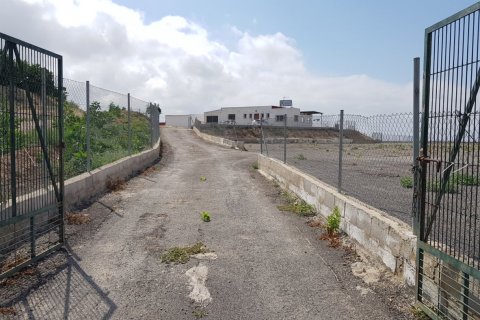 Finca for sale Los Montesinos, Alicante, Spain 2 bedrooms, 253 sq.m. No. 115285 - photo 30