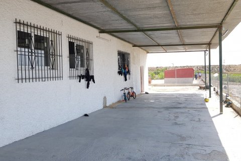 Finca for sale Los Montesinos, Alicante, Spain 2 bedrooms, 253 sq.m. No. 115285 - photo 10