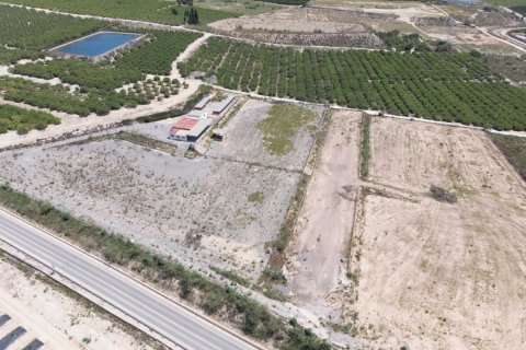Finca for sale Los Montesinos, Alicante, Spain 2 bedrooms, 253 sq.m. No. 115285 - photo 3