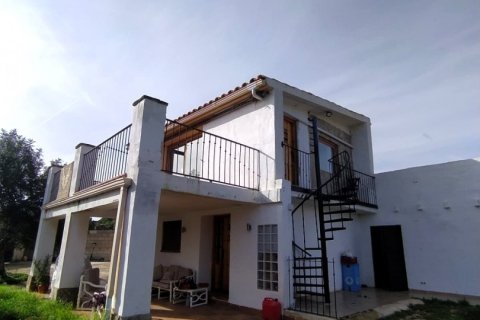 Земельный участок в Л'Аметлья-де-Мар, Таррагона, Испания 49351м2 №153819