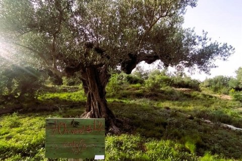 Terreno in vendita a L'Ametlla de Mar, Tarragona, Spagna 49351 mq. N° 153819 - foto 26