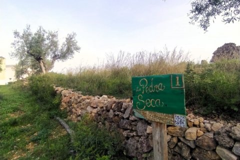 Terreno in vendita a L'Ametlla de Mar, Tarragona, Spagna 49351 mq. N° 153819 - foto 15