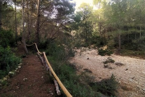 Terreno in vendita a L'Ametlla de Mar, Tarragona, Spagna 49351 mq. N° 153819 - foto 17