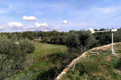 Terreno in vendita a L'Ametlla de Mar, Tarragona, Spagna 49351 mq. N° 153819 - foto 10