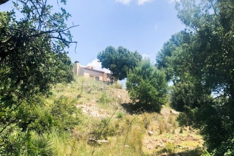 Działka w Malaga, Hiszpania 3420 mkw. nr 153815 – zdjęcie 10