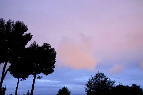 Działka w Malaga, Hiszpania 3420 mkw. nr 153815 – zdjęcie 11