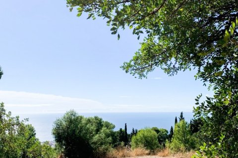 Działka w Malaga, Hiszpania 3420 mkw. nr 153815 – zdjęcie 6