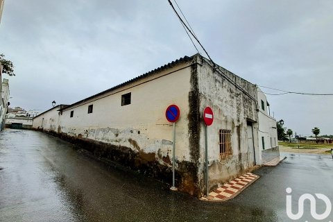 Продажа коммерческой недвижимости в Алкала-дель-Рио, Севилья, Испания 246м2 №153813 - фото 4