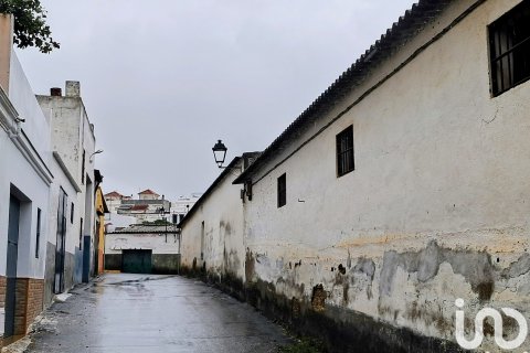 Продажа коммерческой недвижимости в Алкала-дель-Рио, Севилья, Испания 246м2 №153813 - фото 5