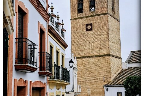 Продажа коммерческой недвижимости в Алкала-дель-Рио, Севилья, Испания 246м2 №153813 - фото 9