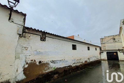 Продажа коммерческой недвижимости в Алкала-дель-Рио, Севилья, Испания 246м2 №153813 - фото 7