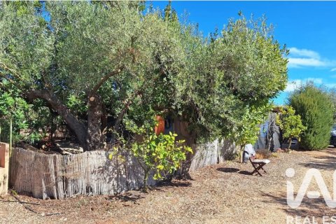 Gewerbeimmobilien zum Verkauf in San Rafael Del Rio, Castellon, Spanien Nr. 173164 - Foto 6