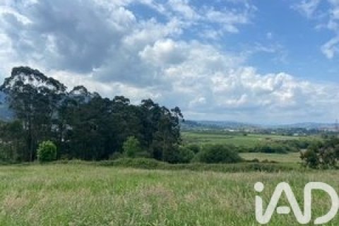 Działka w Marina de Cudeyo, Cantabria, Hiszpania 4468 mkw. nr 173163 – zdjęcie 4