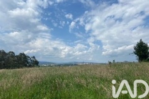 Działka w Marina de Cudeyo, Cantabria, Hiszpania 4468 mkw. nr 173163 – zdjęcie 5