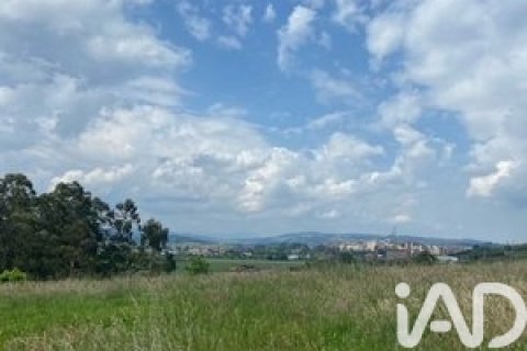 Działka w Marina de Cudeyo, Cantabria, Hiszpania 4468 mkw. nr 173163 – zdjęcie 10