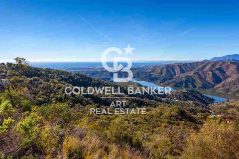 House for sale in Istan, Malaga, Spain 3 bedrooms, 190 sq.m. No. 158882 - photo 20