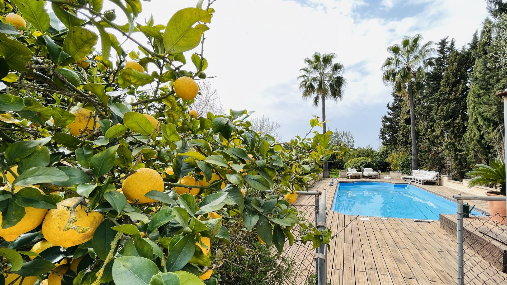 Finca a Algaida, Mallorca, Spagna 6 camere da letto, 214 mq. N° 96317