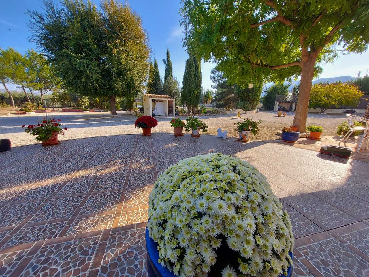Villa a Calasparra, Murcia, Spagna 3 camere da letto, 140 mq. N° 193131