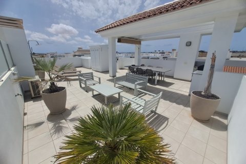Apartament Ciudad Quesada, Alicante, Hiszpania 2 sypialnie,  nr 137854 – zdjęcie 13