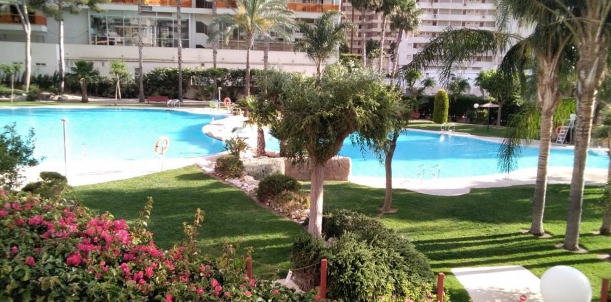 Appartamento Benidorm, Alicante, Spagna 3 camere da letto, 160 mq. N° 118956