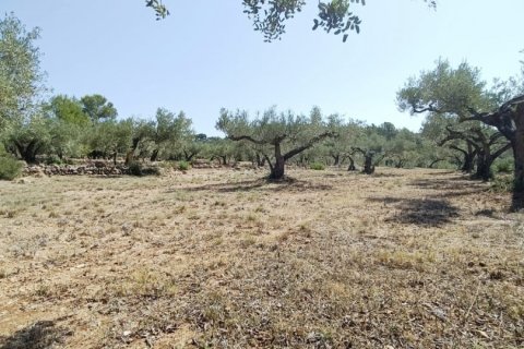 Talo myytävänä L'Ametlla de Mar, Tarragona, Espanja, 4 makuuhuonetta, 255 m2 No. 153231 - kuva 14