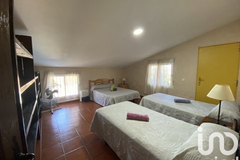 Dom w Chiclana de la Frontera, Cadiz, Hiszpania 13 sypialni, 581 mkw. nr 153226 – zdjęcie 29