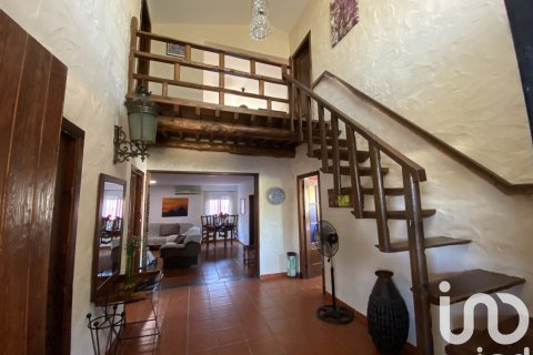 Dom w Chiclana de la Frontera, Cadiz, Hiszpania 13 sypialni, 581 mkw. nr 153226 – zdjęcie 24