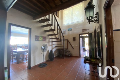 Dom w Chiclana de la Frontera, Cadiz, Hiszpania 13 sypialni, 581 mkw. nr 153226 – zdjęcie 25